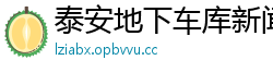 泰安地下车库新闻网